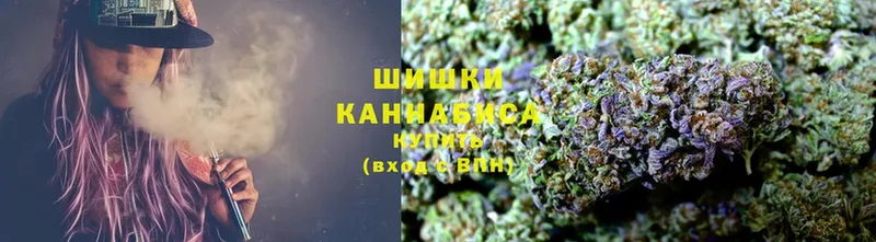 Бошки марихуана SATIVA & INDICA  наркотики  Аргун 